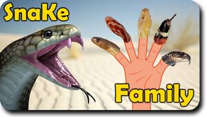 Gaysnakes.jpg