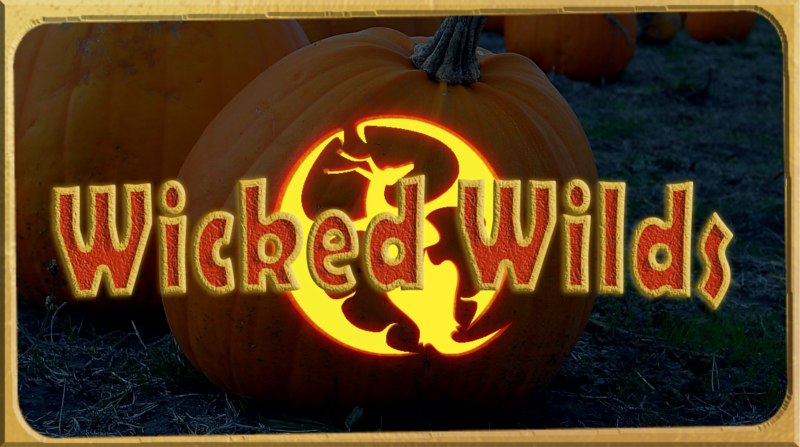 File:Halloween Logo Final.png