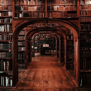 Ravendean's Public Library.jpg