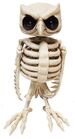 https://www.orientaltrading.com/animated-owl-skeleton-halloween-decoration-a2-13969681.fltr?categoryId=555666